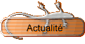 Actualit