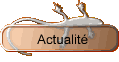 Actualit