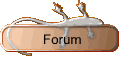 Forum