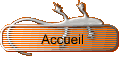Accueil
